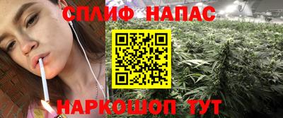PSILOCYBIN Кулебаки