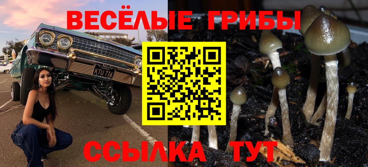 Псилоцибиновые грибы мухоморы  Галлюциногенные грибы ЛСД  Вход с VPN  Торжок 