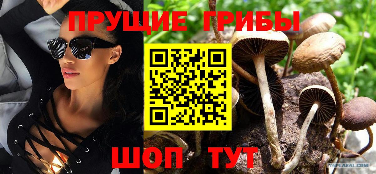 A PVP Торжок